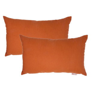 Wayfair best sale sunbrella pillows